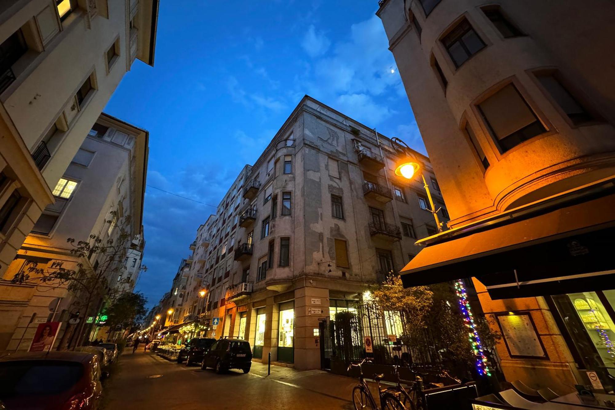 Jungle Aesthetics Downtown Apartman Aircon And Garage Parking Boedapest Buitenkant foto